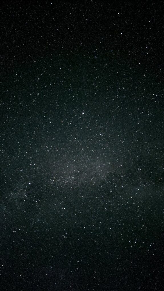 pexels photo 13872805.jpeg