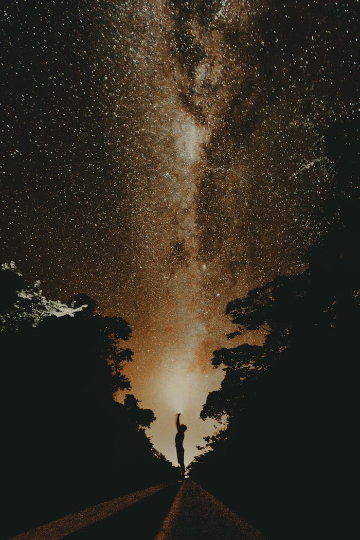 Captivating silhouette against the Milky Way's bright starry expanse, evoking a sense of wonder.